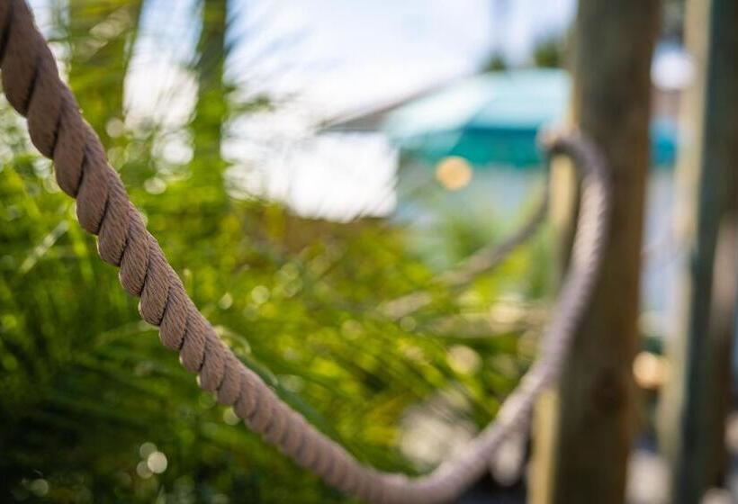 فندق Salt Air Inn & Suites