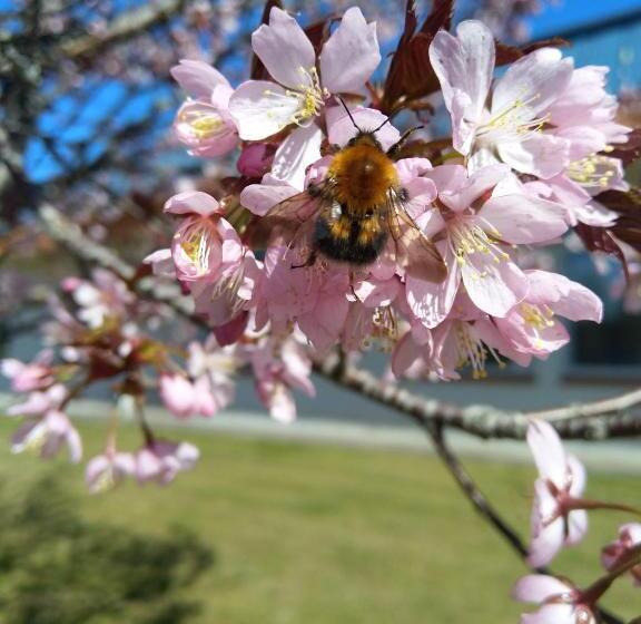 בית מלון כפרי Systemairhallen Bed&breakfast