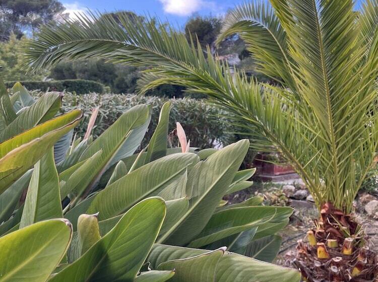 בית מלון כפרי Villa Paradis