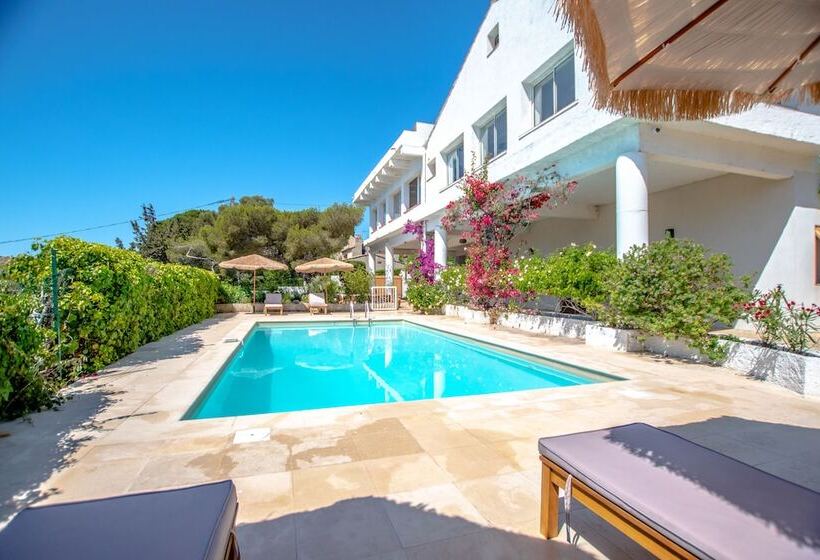 בית מלון כפרי Villa Paradis