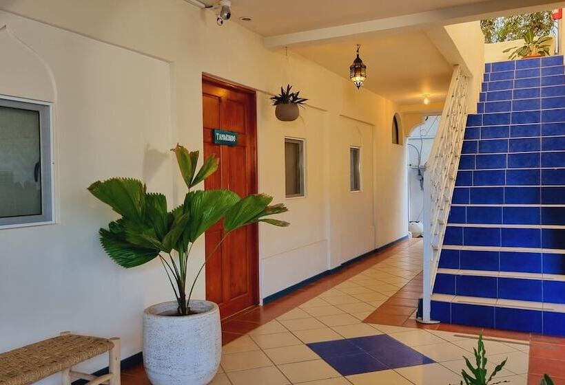 Zulu Surf Hotel Tamarindo