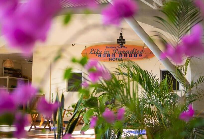 Zulu Surf Hotel Tamarindo