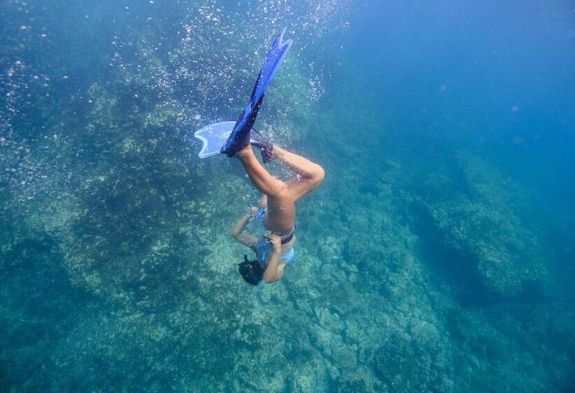 Zulu Surf Hotel Tamarindo