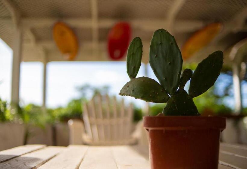 Zulu Surf Hotel Tamarindo