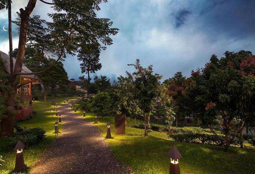 Jeevess Wellness Resort