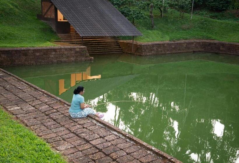 Jeevess Wellness Resort