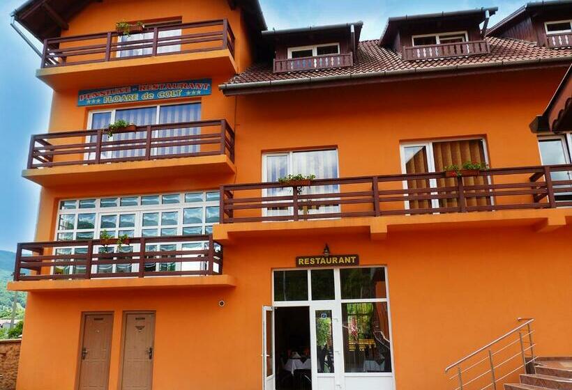 פנסיון Floare De Colt Petrosani