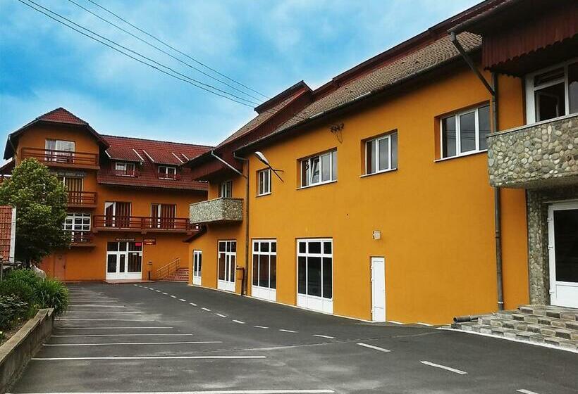 פנסיון Floare De Colt Petrosani