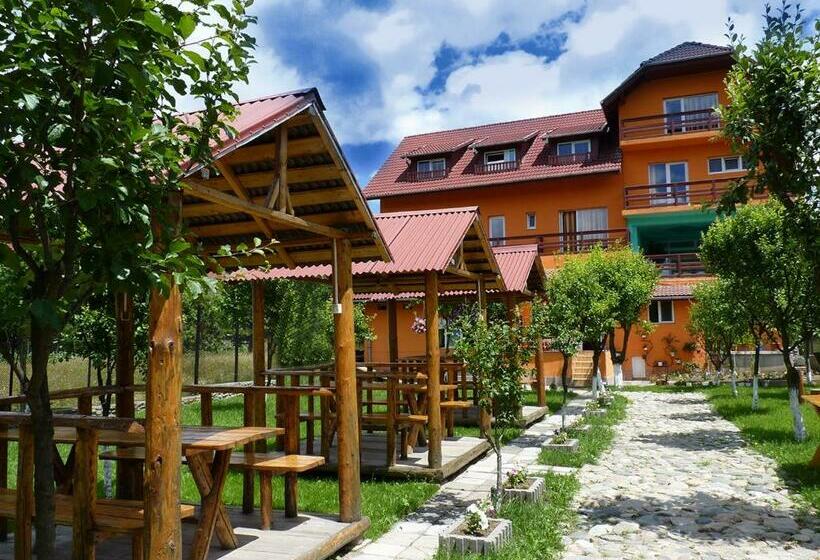 פנסיון Floare De Colt Petrosani