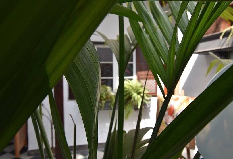 ペンション Gato Azul   Coliving