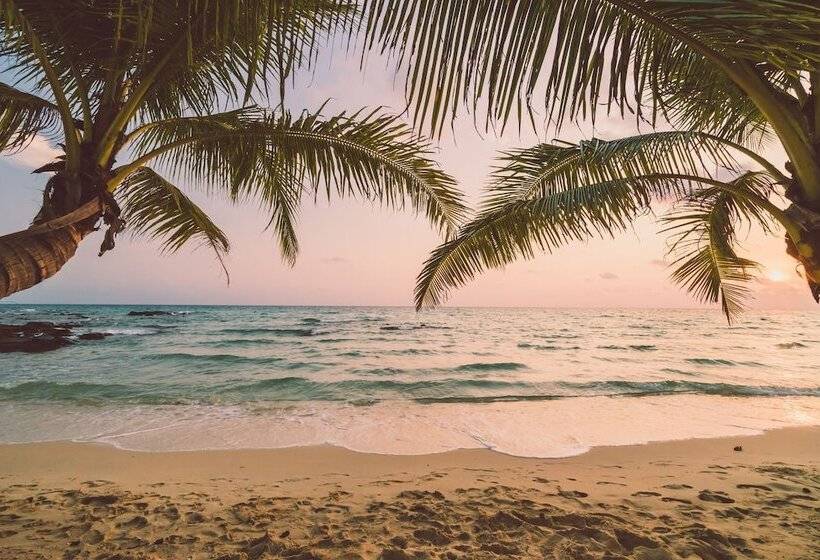 بنسيون B&b Beach House Pousada Exclusiva Pés Na água Pontal Do Peba única Em Alagoas