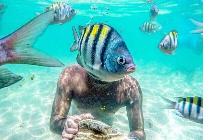 بنسيون B&b Beach House Pousada Exclusiva Pés Na água Pontal Do Peba única Em Alagoas