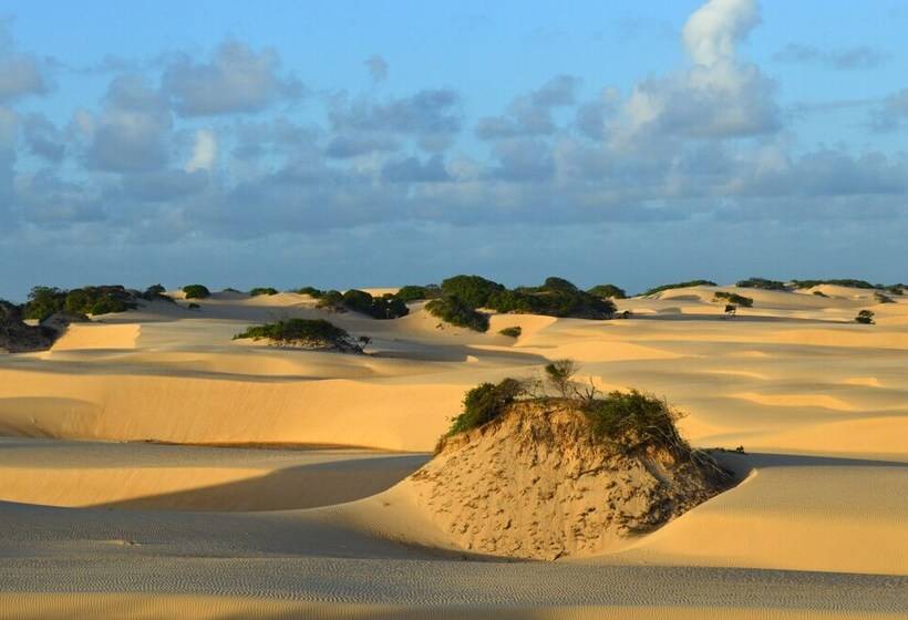 פנסיון B&b Beach House Pousada Exclusiva Pés Na água Pontal Do Peba única Em Alagoas