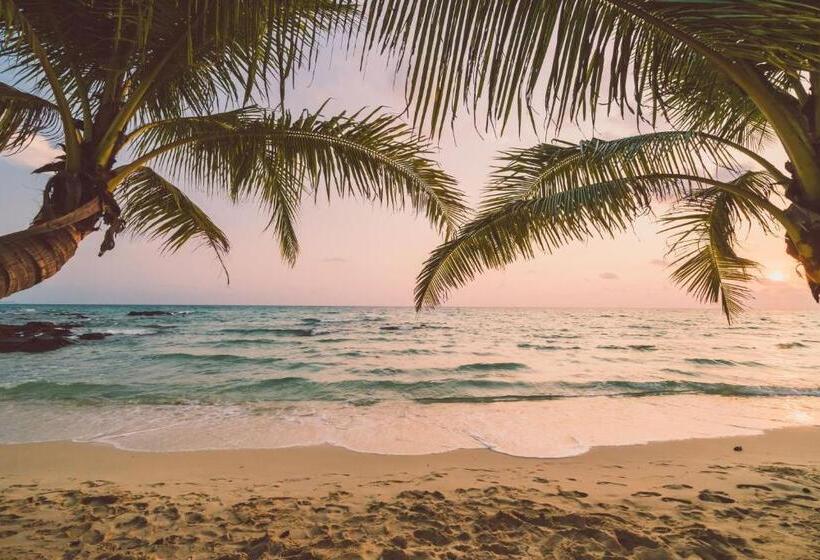 פנסיון B&b Beach House Pousada Exclusiva Pés Na água Pontal Do Peba única Em Alagoas