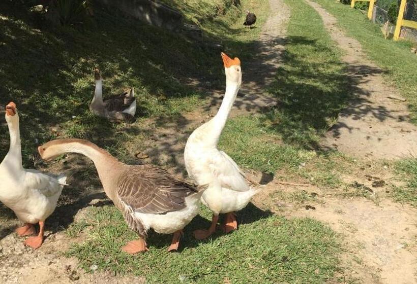 펜션 Pousada Pe Na Terra Em Guararema