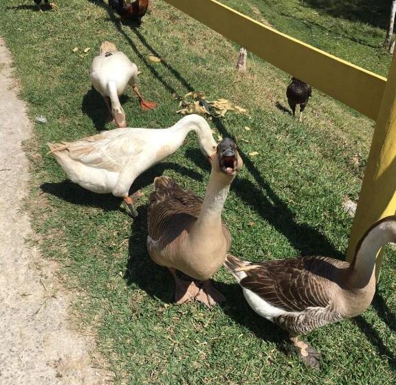 펜션 Pousada Pe Na Terra Em Guararema