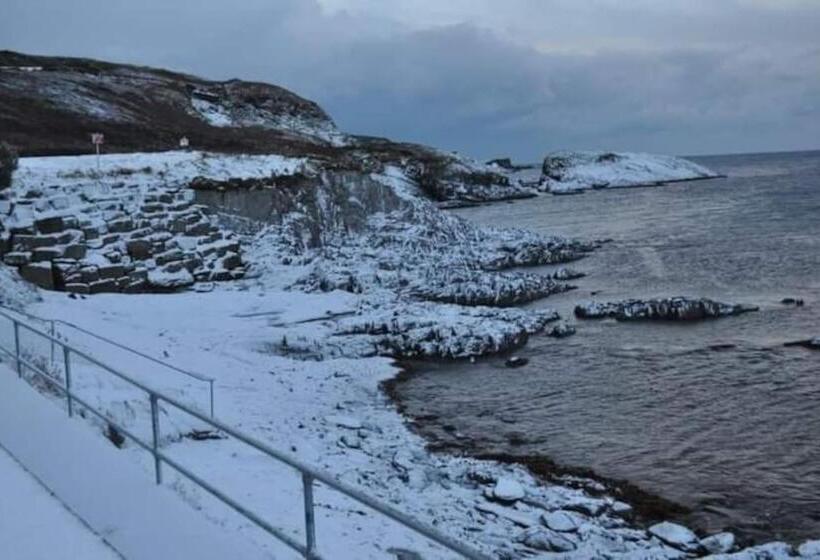 بنسيون The Lookout