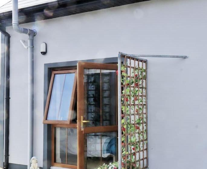 بنسيون The Lookout