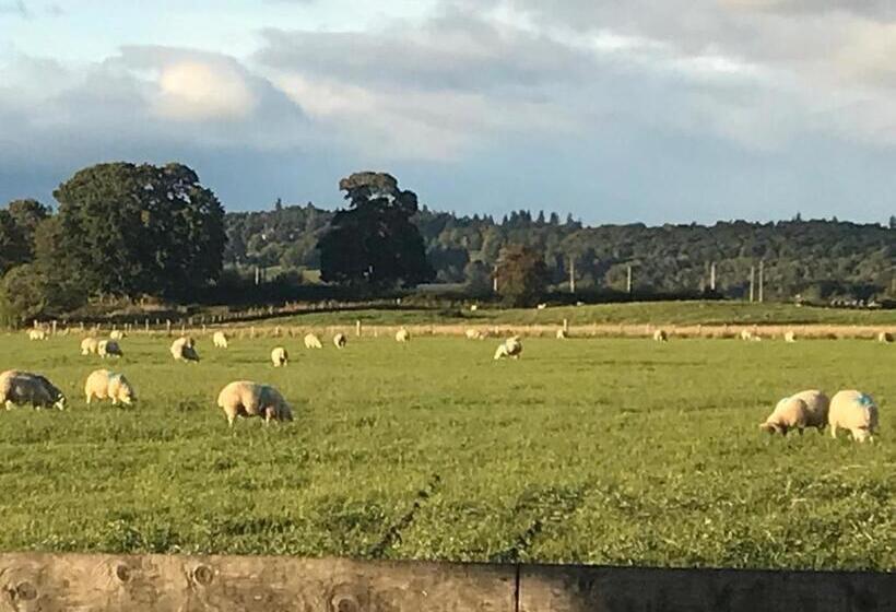 بنسيون The Tollhouse