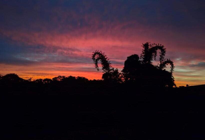 ペンション Toca Do Roka