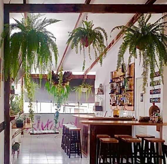 Piccolo Bed & Breakfast