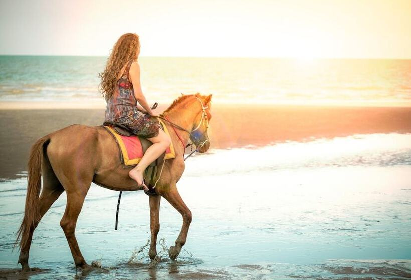 Residence Royal  Deluxe