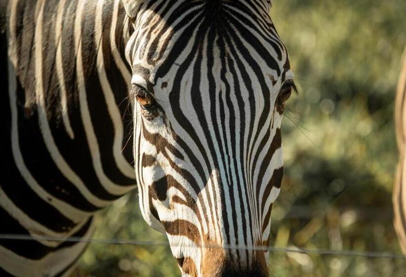 リゾートホテル Reserva Dos Lagos