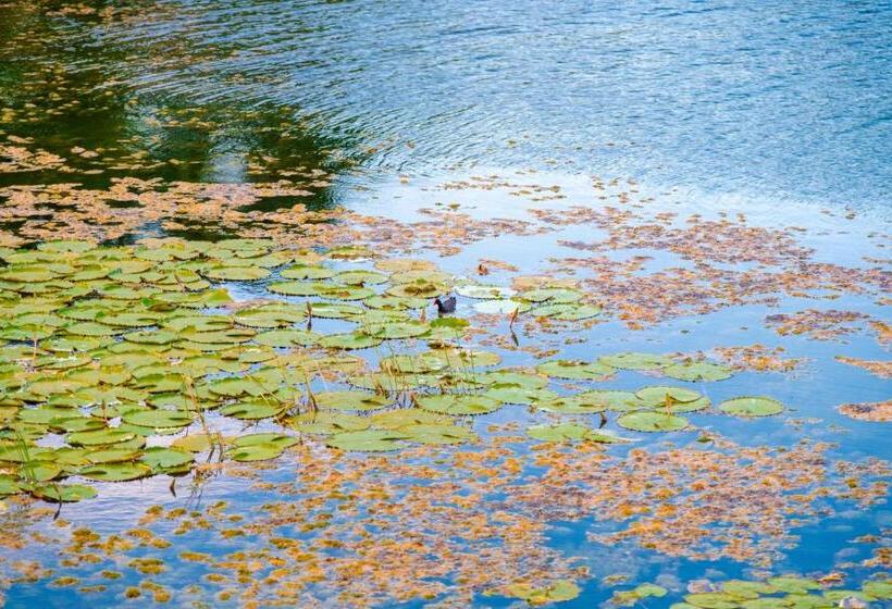 リゾートホテル Reserva Dos Lagos