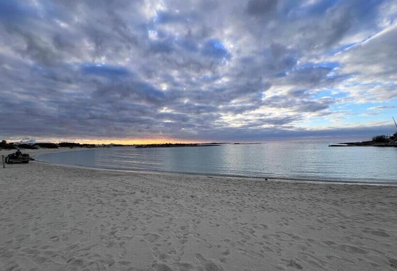 Verde Blu Vacanze B&b