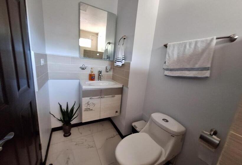 فندق صغير Victoria House