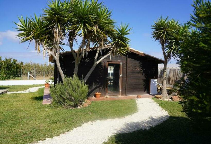 旅馆 Aldeia Caiçara Surf House