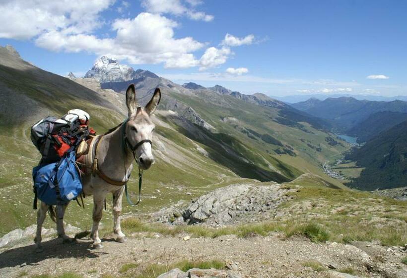 Общежитие Auberge L Estoilies