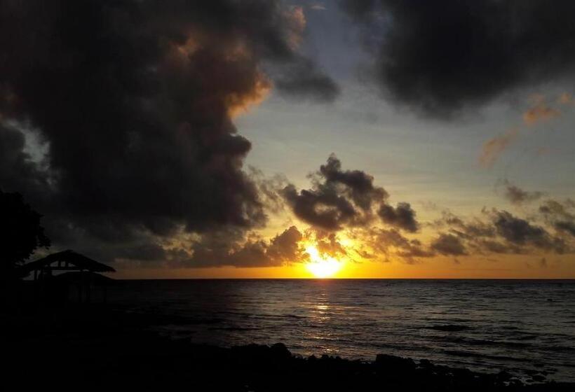 הוסטל D  Partner S Inn