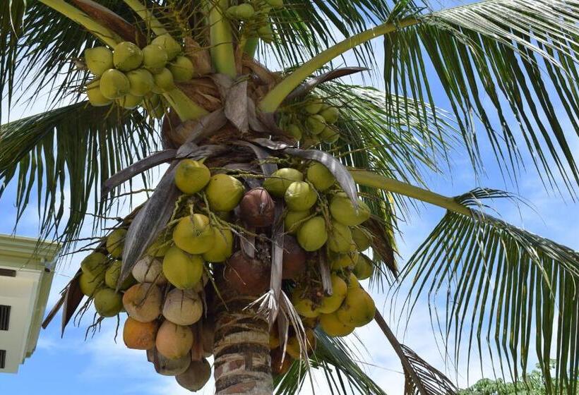 הוסטל D  Partner S Inn