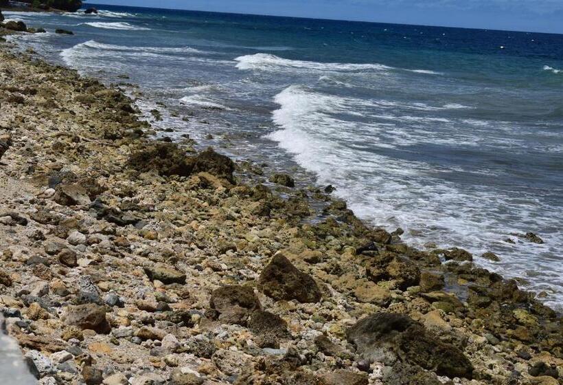 הוסטל D  Partner S Inn