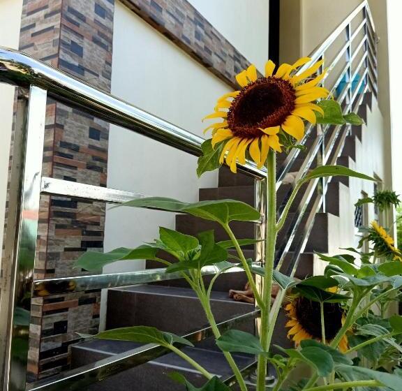 הוסטל D  Partner S Inn