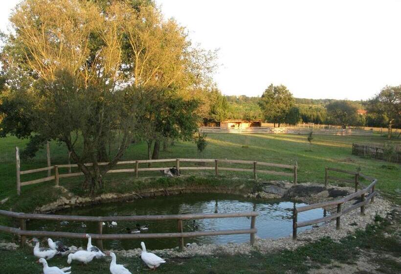 هاستل Fürge Róka Porta