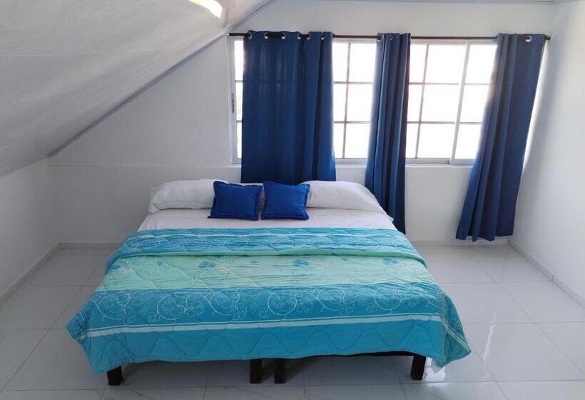 هاستل Posada Shalain