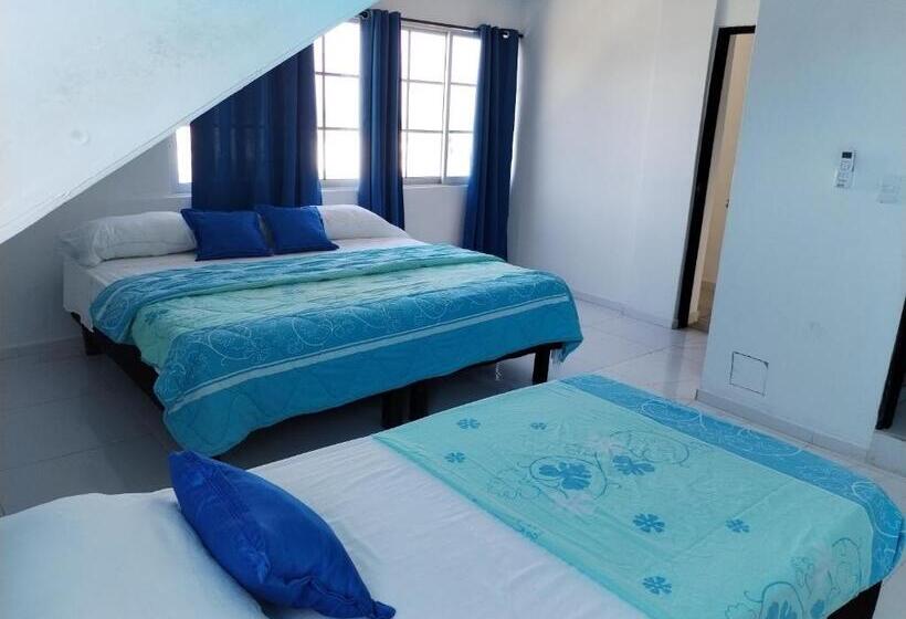 هاستل Posada Shalain