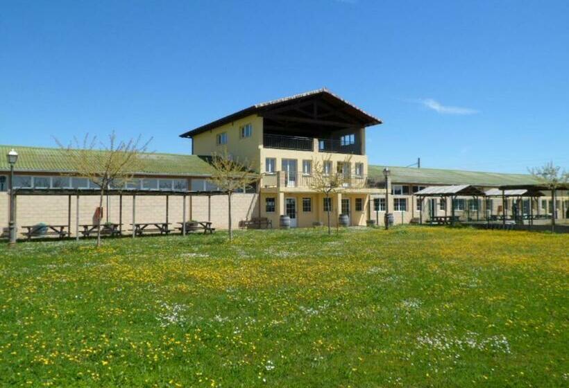 Albergue De Peregrinos Santiago Apostol