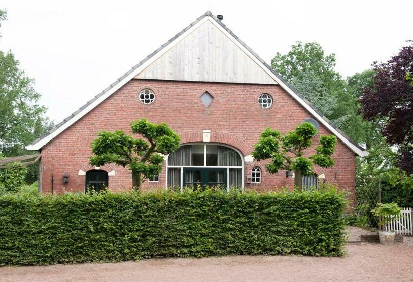 B&b De Balkende Ezel