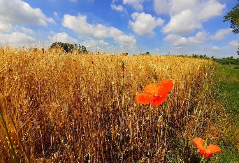 צימר Valle Dell Idro Otranto