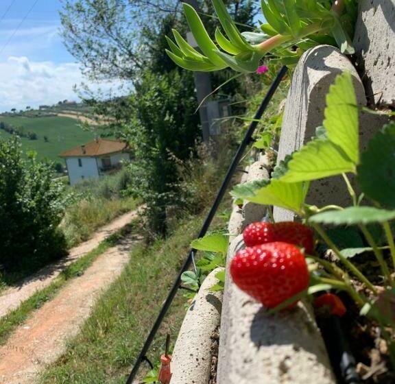 Bed and Breakfast Casa Sofia