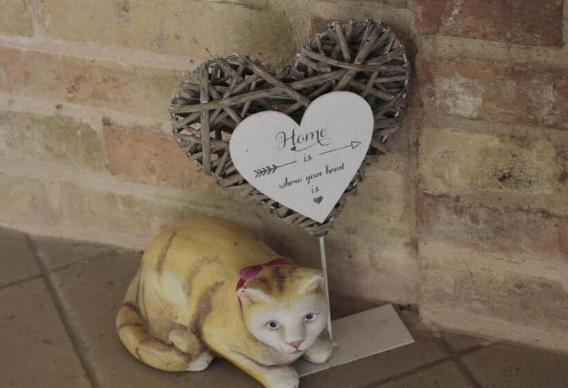 Bed and Breakfast Casa Sofia