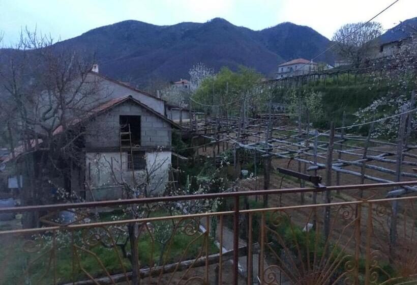 צימר Dafne Holiday