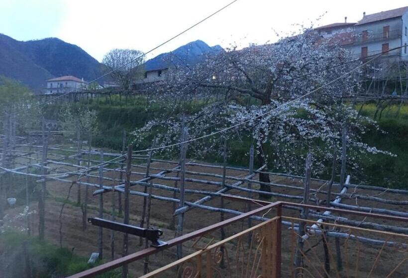 צימר Dafne Holiday