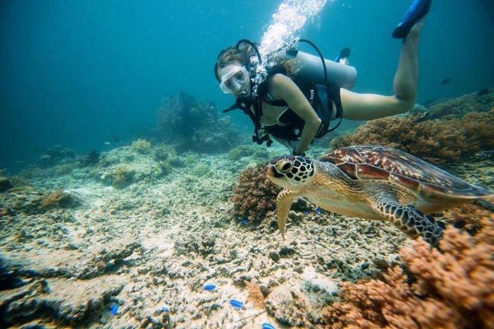 مبيت وإفطار Pondok Wisata Gili Lampu