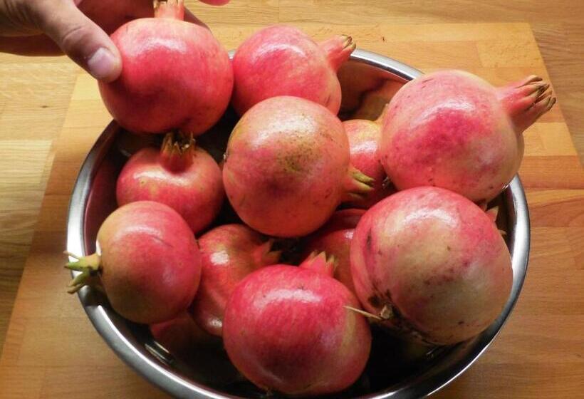 צימר Jake S Place