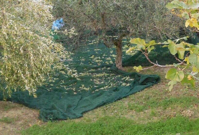 צימר Jake S Place