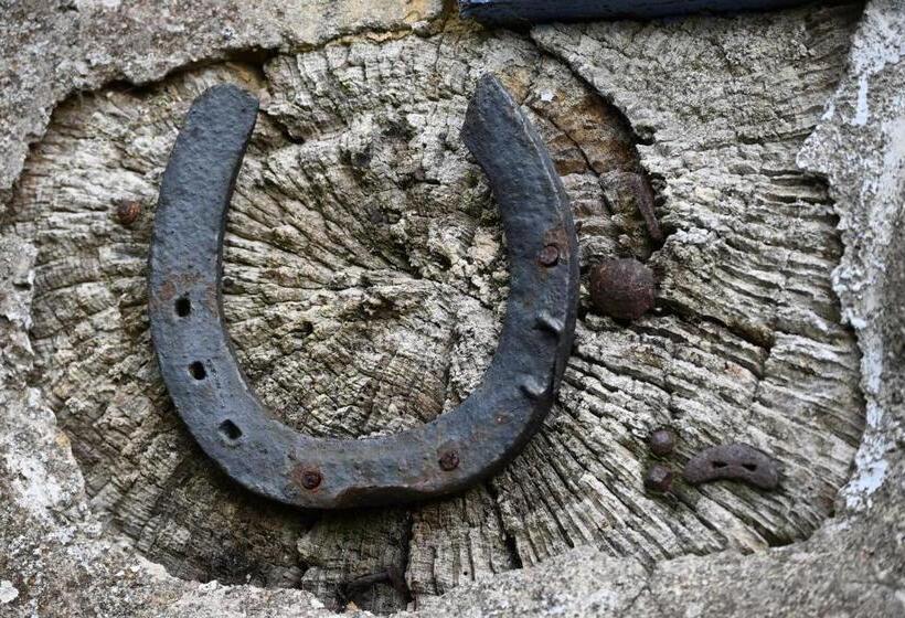 צימר L Hôtié De Brocéliande à Paimpont, Au Coeur Des Sites Naturels Et Légendaires